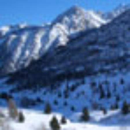 Associacao do Fado Casto